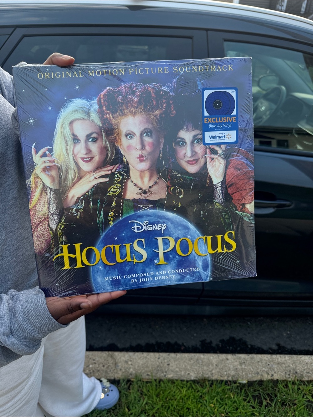 Hocus Pocus Vinyl Record